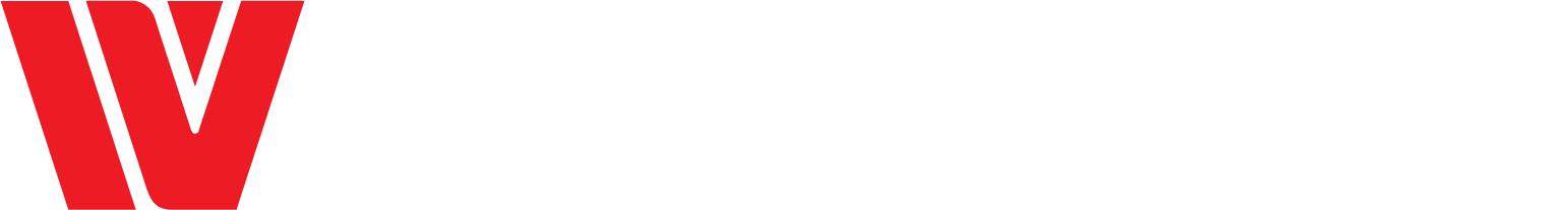 Wahlap Technology 标志